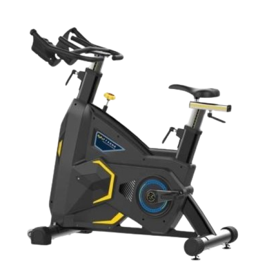 XE ĐẠP BODYSTRONG - 5816